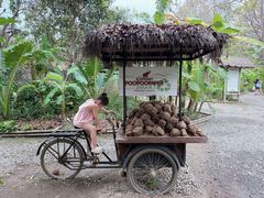 -大象粑粑造纸公园