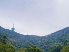 -梧桐山风景名胜区