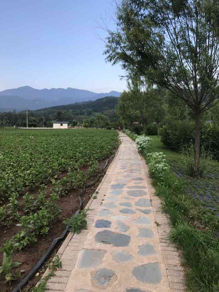 珍珠泉留香谷-"北京周边游第四十四集之珍珠泉位于珍珠山.