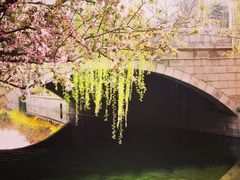 -海棠花溪(元大都城垣遗址公园)