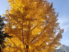 -苏州河梦清园环保主题公园