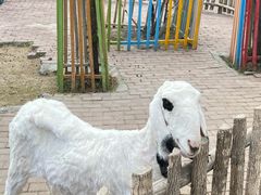 -水上乐园·欢乐世界