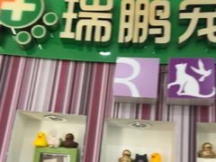 -瑞鹏·疫苗·绝育·宠物医院(金沙洲店)