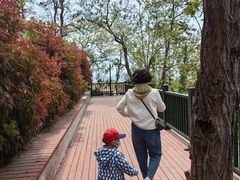 -青岛市江苏路基督教堂