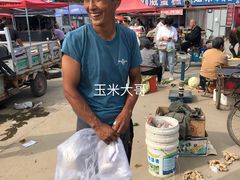 -南戴河海滨市场