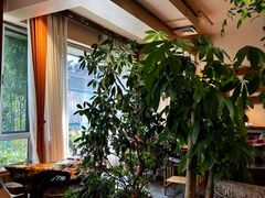 -慢丽江·云南野生菌土鸡锅(付家庄店)