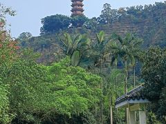 -南沙蒲洲花园