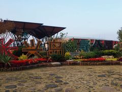 -上海长兴岛郊野公园