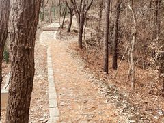 -穹窿山景区