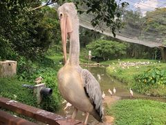 -吉隆坡雀鸟公园