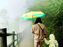 -少华山国家森林公园