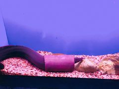 -上海海洋水族馆