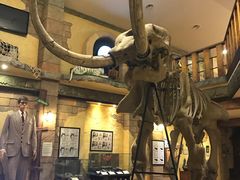 -信不信由你博物馆