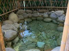 -咸宁万豪温泉谷度假区