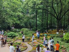 -忠山公园