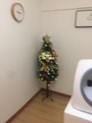 -Yukina Plus专业日式美肌