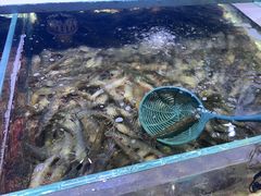 -聚盛源蒸汽海鲜火锅烤肉自助(巨川金海岸购物广场店)