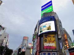 -涩谷区