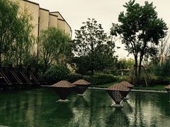 -上海崇明金茂凯悦酒店