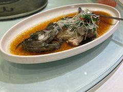 -骏莱海鲜鱼港(五角场店)
