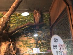 -上海大自然野生昆虫馆(东方明珠·爬宠昆虫探索中心)