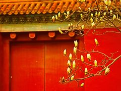 -北京市劳动人民文化宫(太庙)