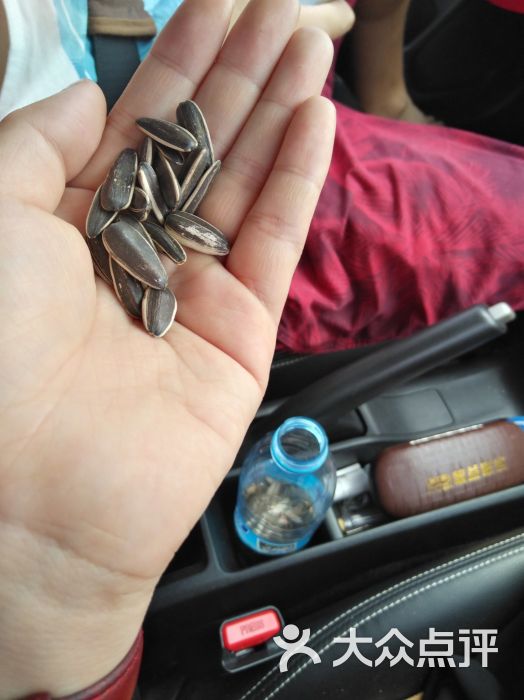 (东进服务区)东进停车区图片 - 第3张