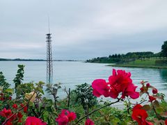 -露天矿生态公园