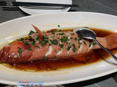 葱油东星斑-佬太公海鸭·海鲜大排档(上海总店)
