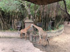 -长鹿旅游休博园