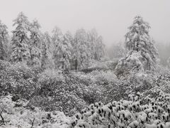 -瓦屋山景区
