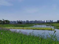 -洋湖国家湿地公园