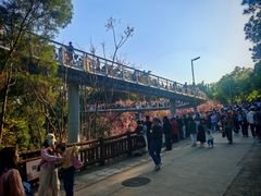 -狐尾山公园