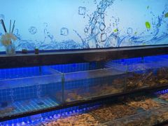 -透明思烤·自助烤肉海鲜火锅(东部星悦天地店)