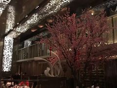 -金轩中餐厅 Jin Xuan(浦东丽思卡尔顿酒店)