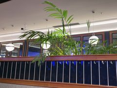 -bluefrog蓝蛙(新三里屯太古里店)