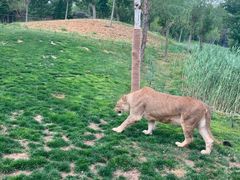 -北京野生动物园