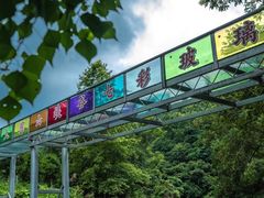 -大围山峡谷漂流