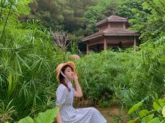 -金鸡山公园