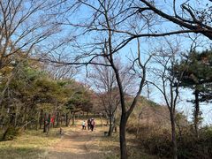 -鲁山国家森林公园