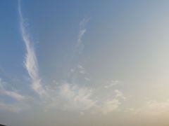 -艾溪湖湿地公园