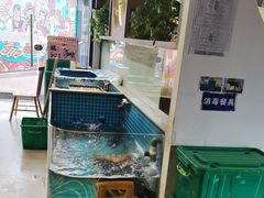 -春天里餐厅(西田城店)