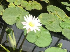 -北京植物园南门售票处