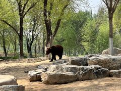 -北京野生动物园