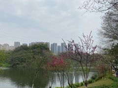 -重庆彩云湖湿地公园