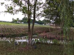 -中国天府农业博览园