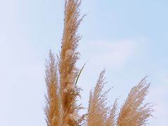 -西北湖绿化广场