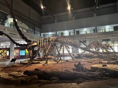 -自贡恐龙博物馆