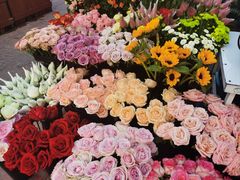 -中北世纪城夜市小吃街CENURY CITY