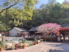 -宁波市保国寺古建筑博物馆